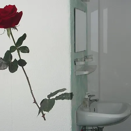 Hotel Sternen Lenzkirch