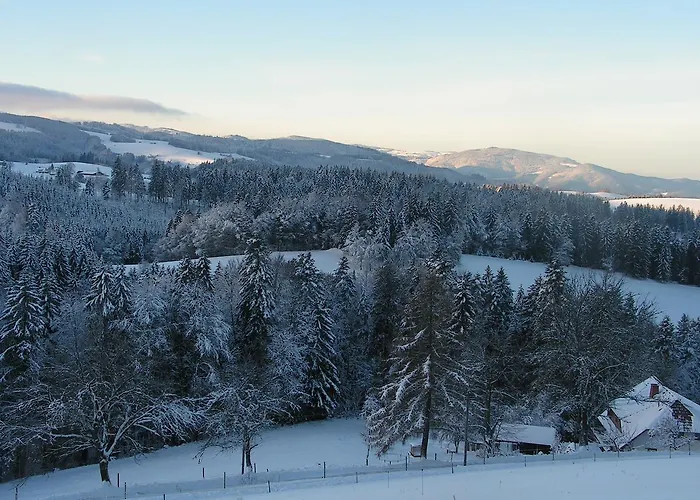 Sternen 3* Lenzkirch